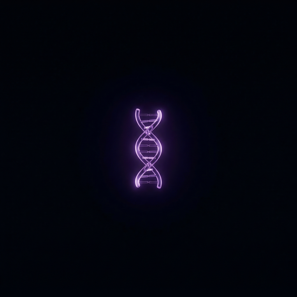 Programm volle Langlebigkeit