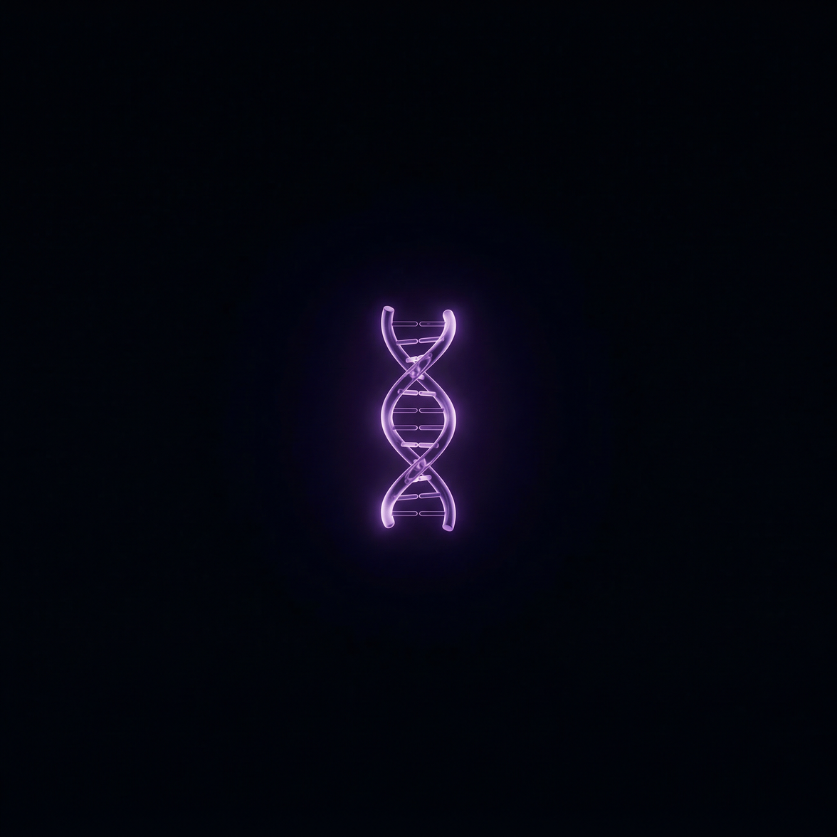 Programm volle Langlebigkeit