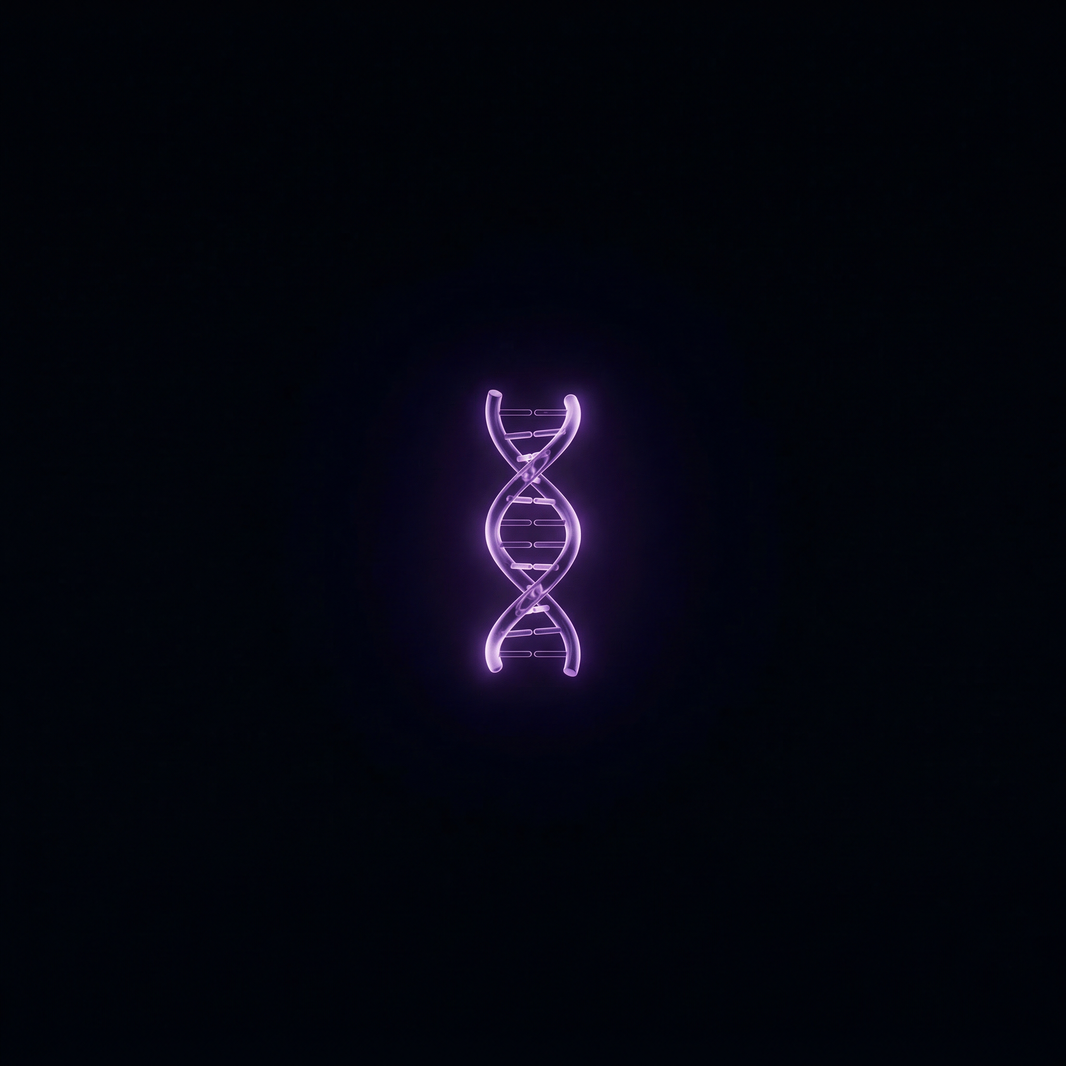 Programm volle Langlebigkeit